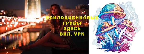 дурь Алексеевка
