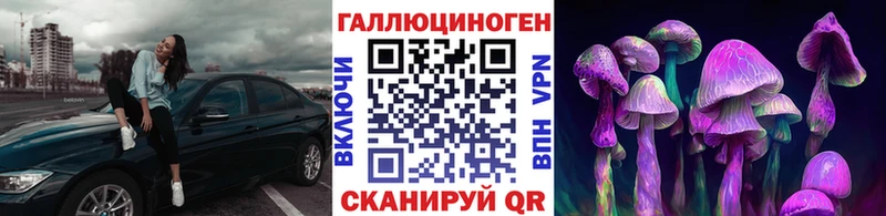 Псилоцибиновые грибы MAGIC MUSHROOMS  Мещовск 