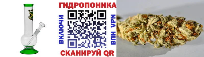 МАРИХУАНА сатива  хочу наркоту  Мещовск 